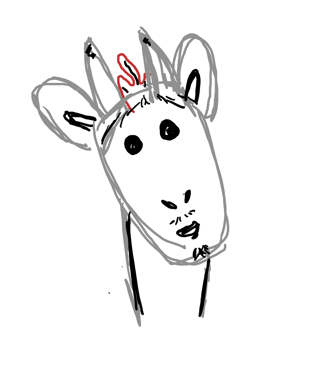 A picture that I drew of the head of my stuffed animal, Skeeshy